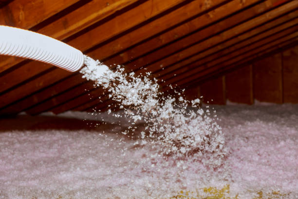 Best Specialized Insulation Services in Gulfport, FL