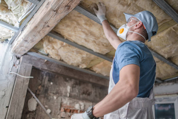Types of Insulation We Offer in Gulfport, FL