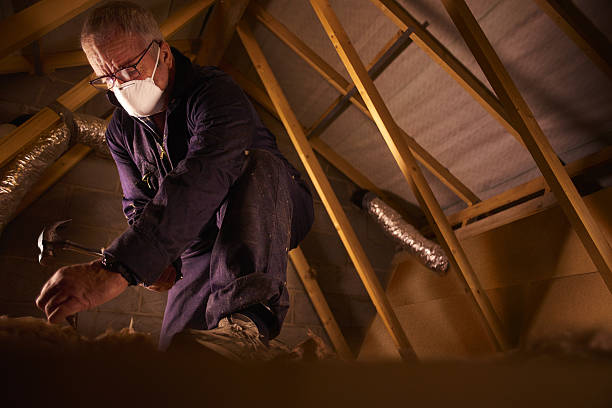 Best Geographic-Specific Insulation Services in Gulfport, FL
