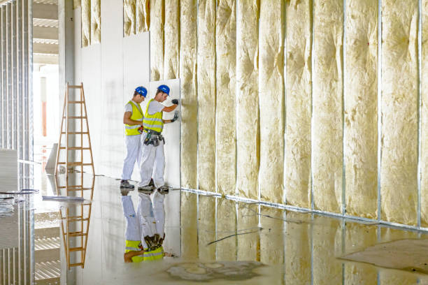 Types of Insulation We Offer in Gulfport, FL